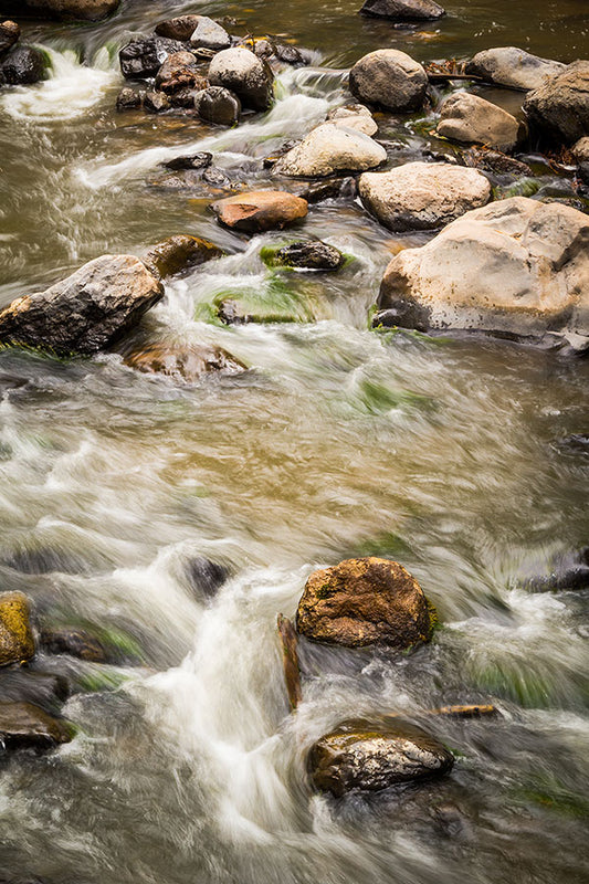 San Antonio Creek in the Jemez Mountains of New Mexico