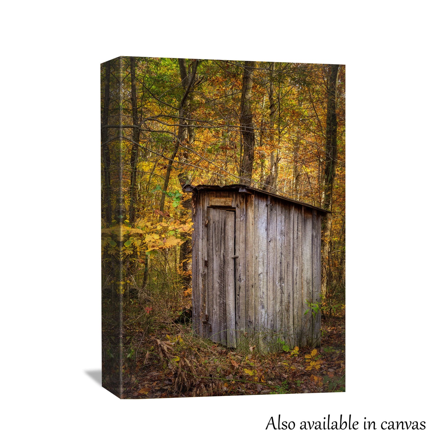 Autumn Outhouse Print