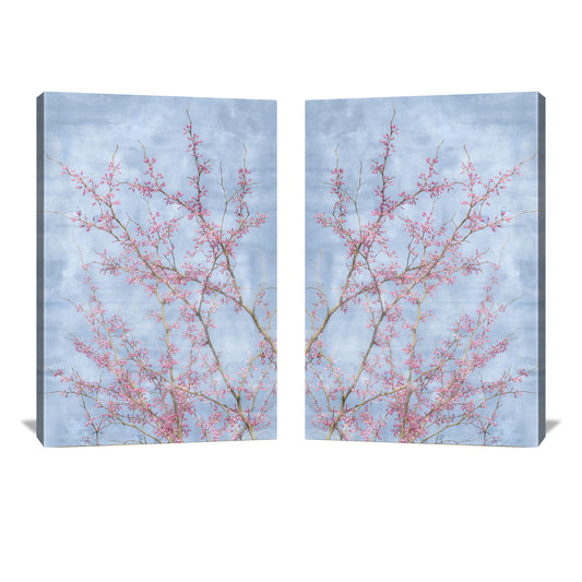 Cottagecore wall art featuring redbud tree branches against a blue sky