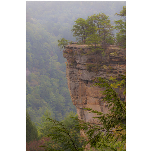 Fog in the gorge at Natural Bridge State Park in Kentucky