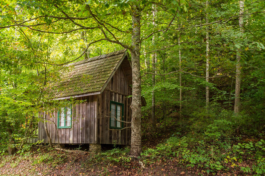 Whittleton cabin tucked into the forest at Red River Gorge Kentucky