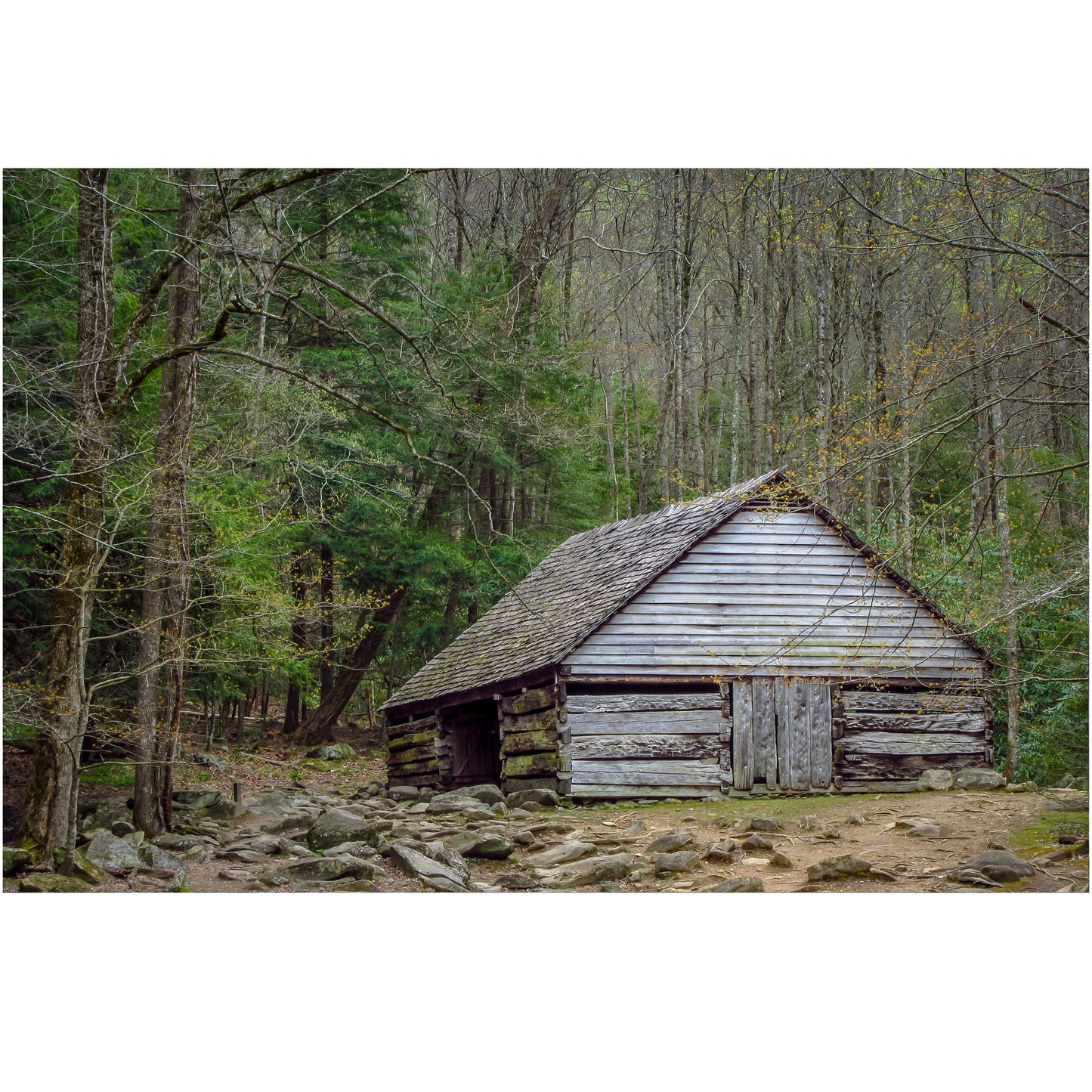 photography print of bud ogle barn in the smoky mountains