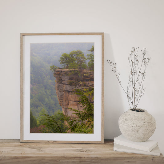 Nature photography wall art featuring a foggy morning at Red River Gorge