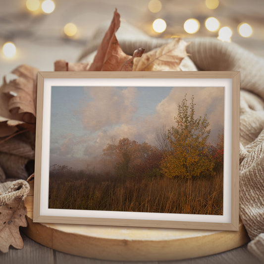 As a remarkable piece of wall art featuring nature photography, the 'Foggy Fall Prairie' autumnal image enriches your living space by bringing in the peacefulness of a prairie landscape.