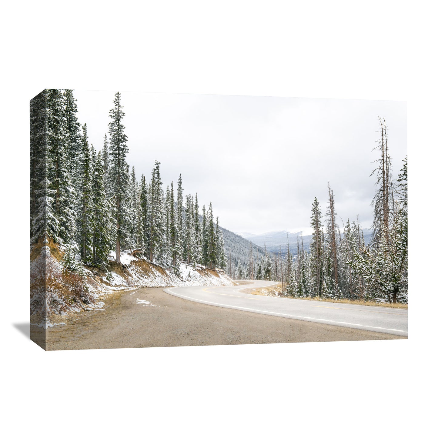 Nature photography featuring winter at Hoosier Pass in Colorado