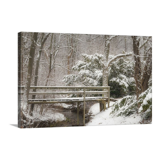 A serene winter landscape photograph on canvas, featuring snow-laden trees and a peaceful stream, ideal for adding a touch of nature's calm to any space.