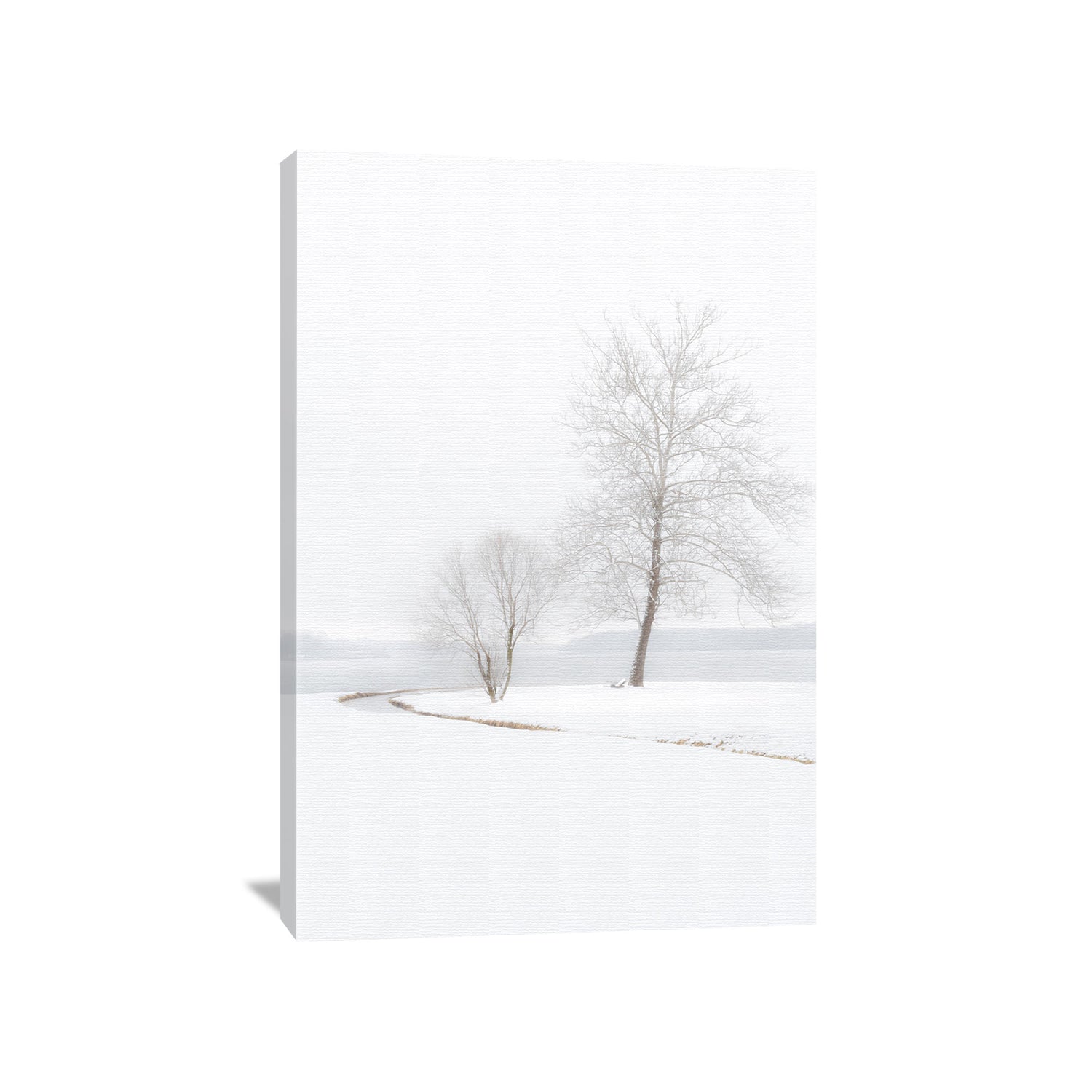 winter landscape scene featuring snow covered trees at the edge of a lake