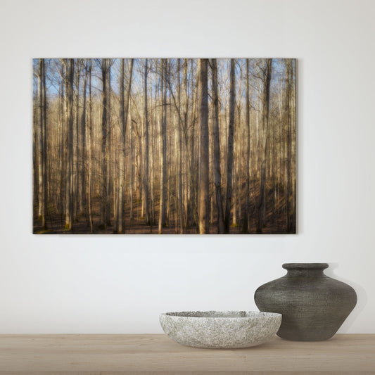 Light in the Forest Canvas