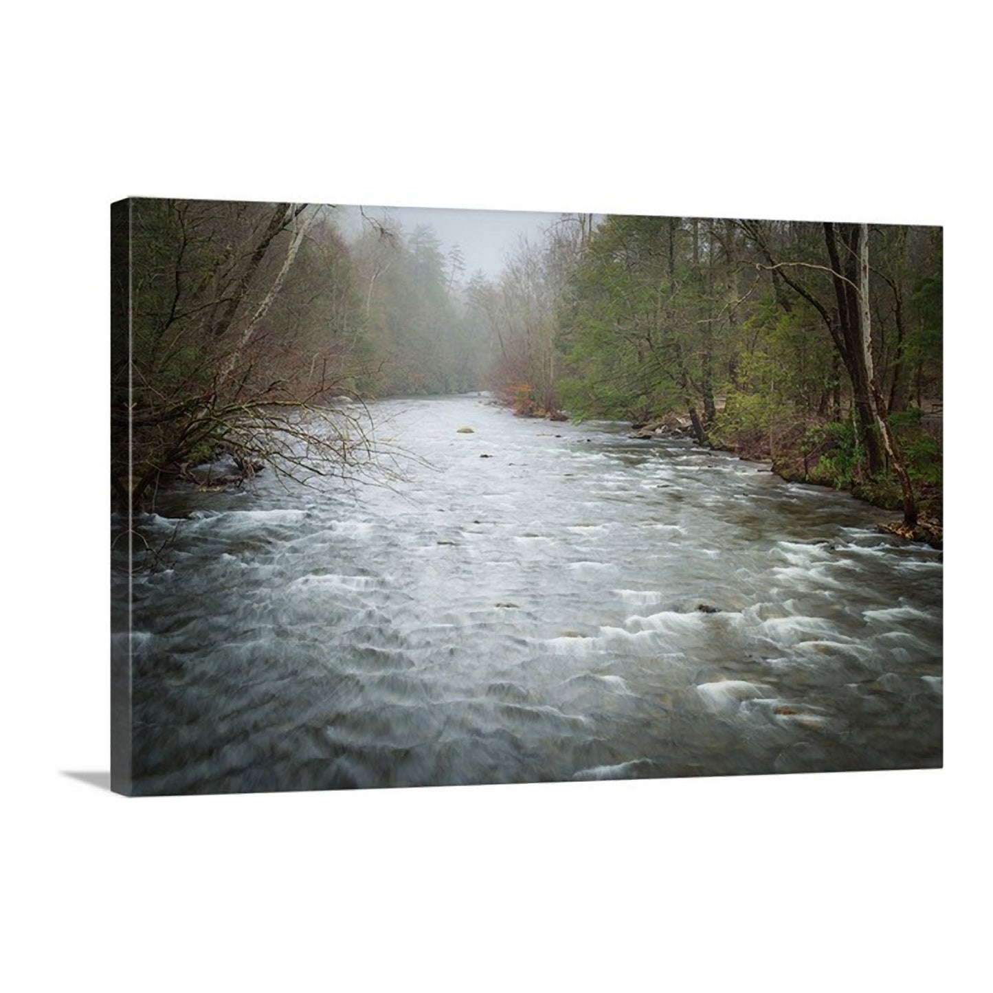 Canvas art showing the quiet beauty of the Smoky Mountains and the Little River.