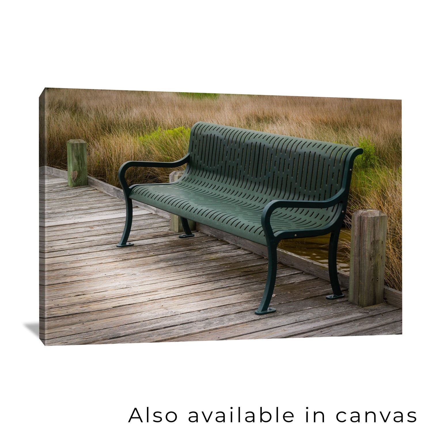 The photograph is beautifully presented on a gallery-wrapped canvas, showing this photograph is also available as a canvas print for those interested in a ready-to-hang solution.