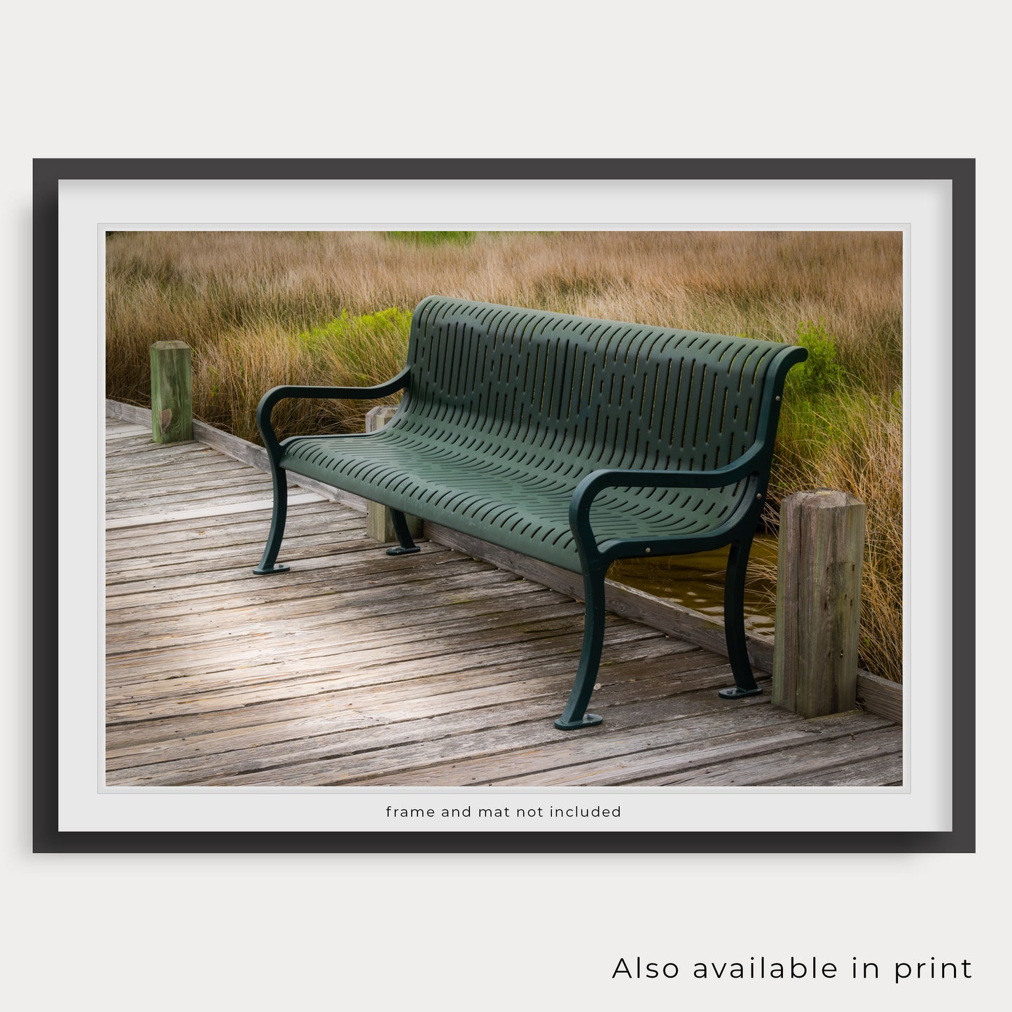 The photograph is beautifully presented as a framed print, showing this photograph is also available as a paper print. Please note that the frame and mat shown are for display purposes only and are not included in the purchase.