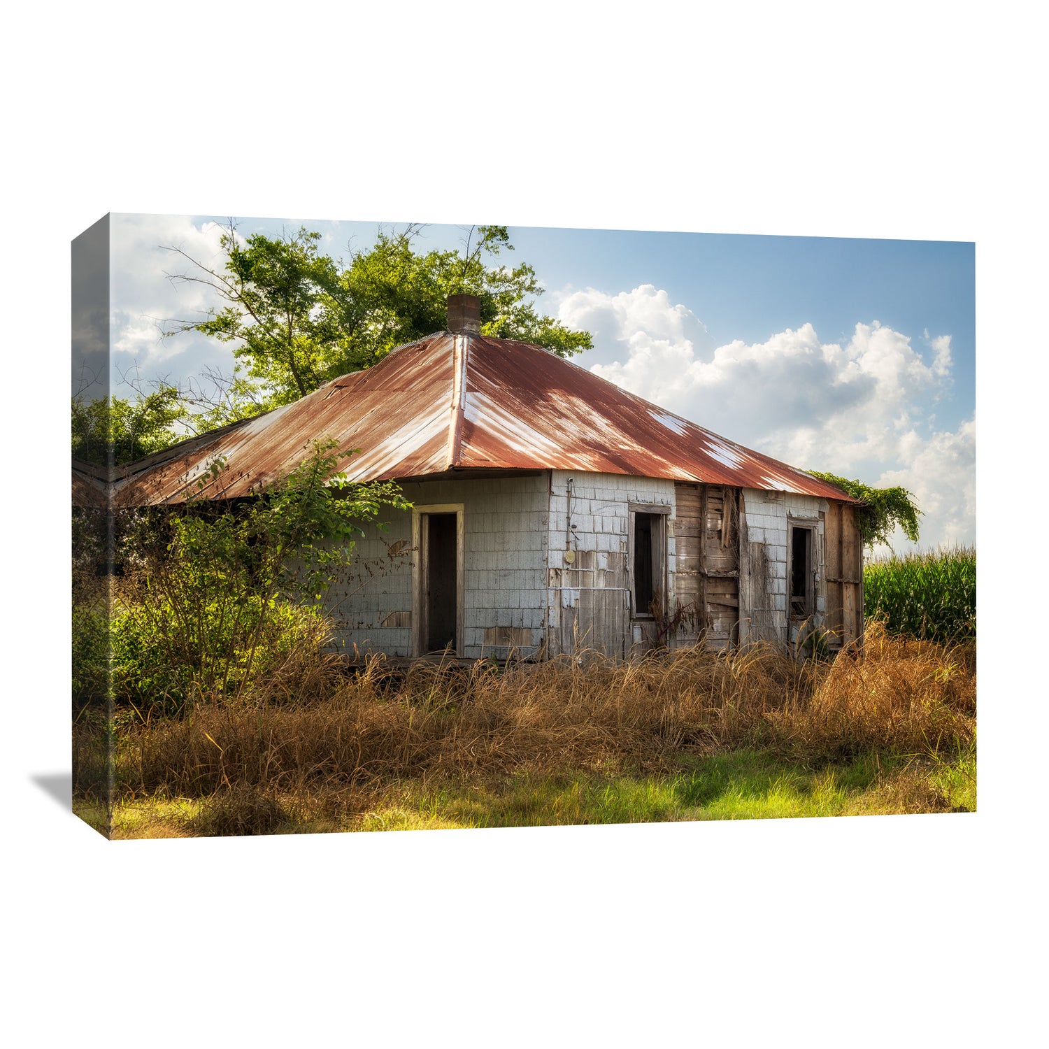 Close-up of weathered walls, capturing the essence of Mississippi Delta photography.
