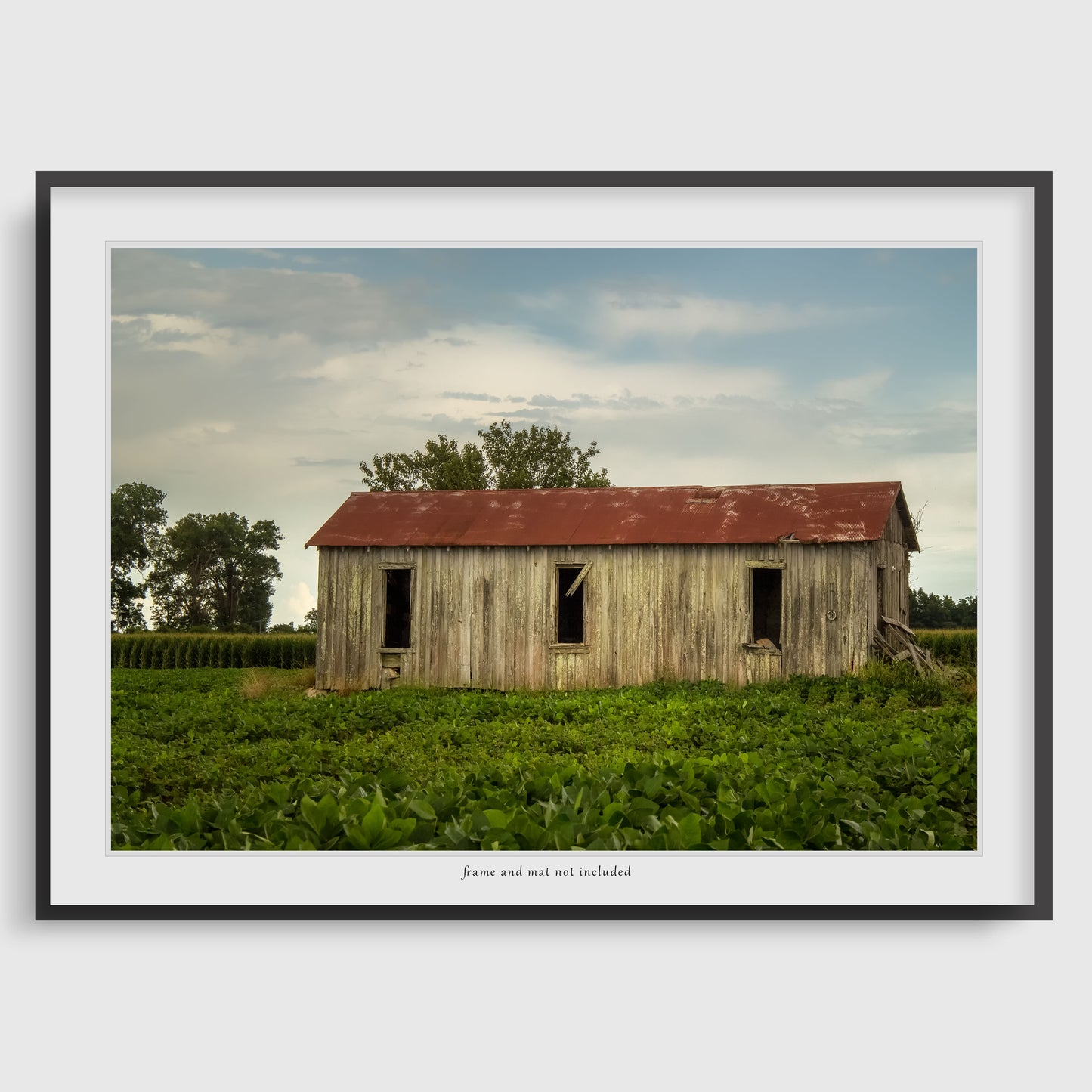 Image displaying a Mississippi Delta wall art print within a thin black frame and white mat, meant to inspire potential display options. The actual product is the print only; the frame and mat are not included with purchase.