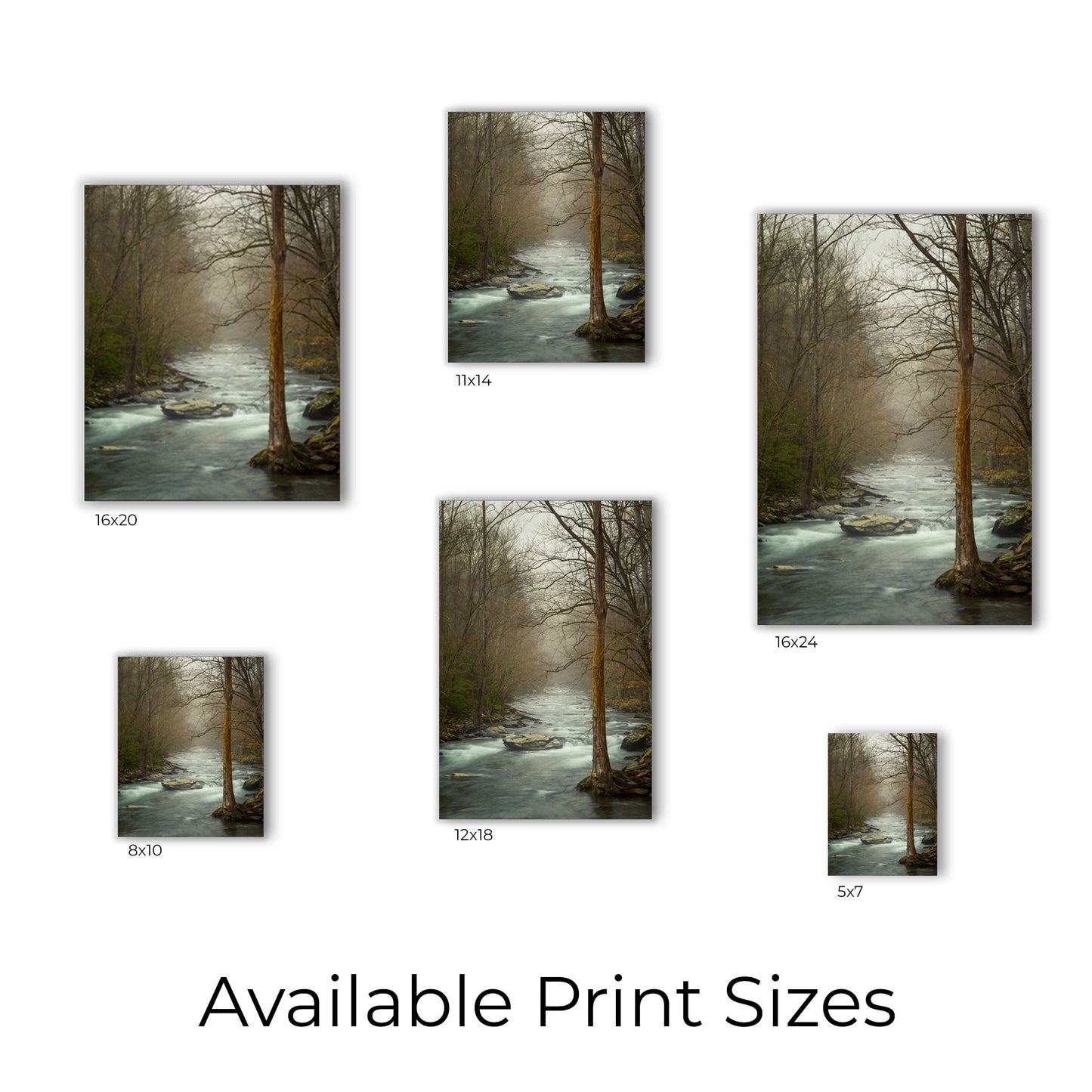 Visual representation of wall art print sizes available: 5x7, 8x10, 11x14, 12x18, 16x20, and 16x24.