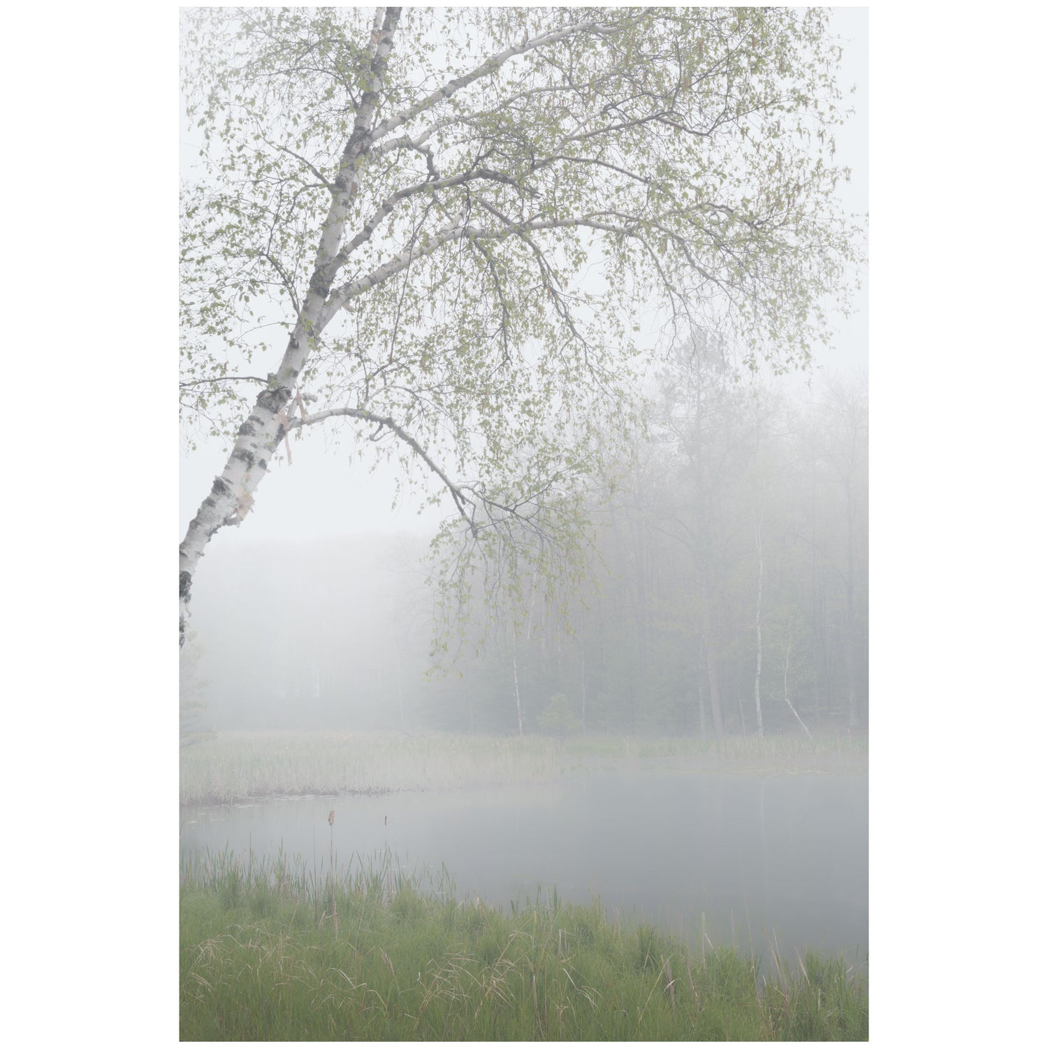 Nature photography wall art print featuring a foggy lake scene