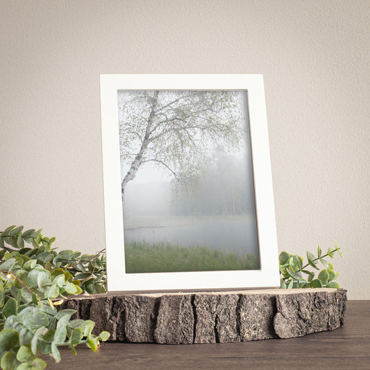 Lake house wall art print featuring a foggy lake scene with a birch tree hanging over the water