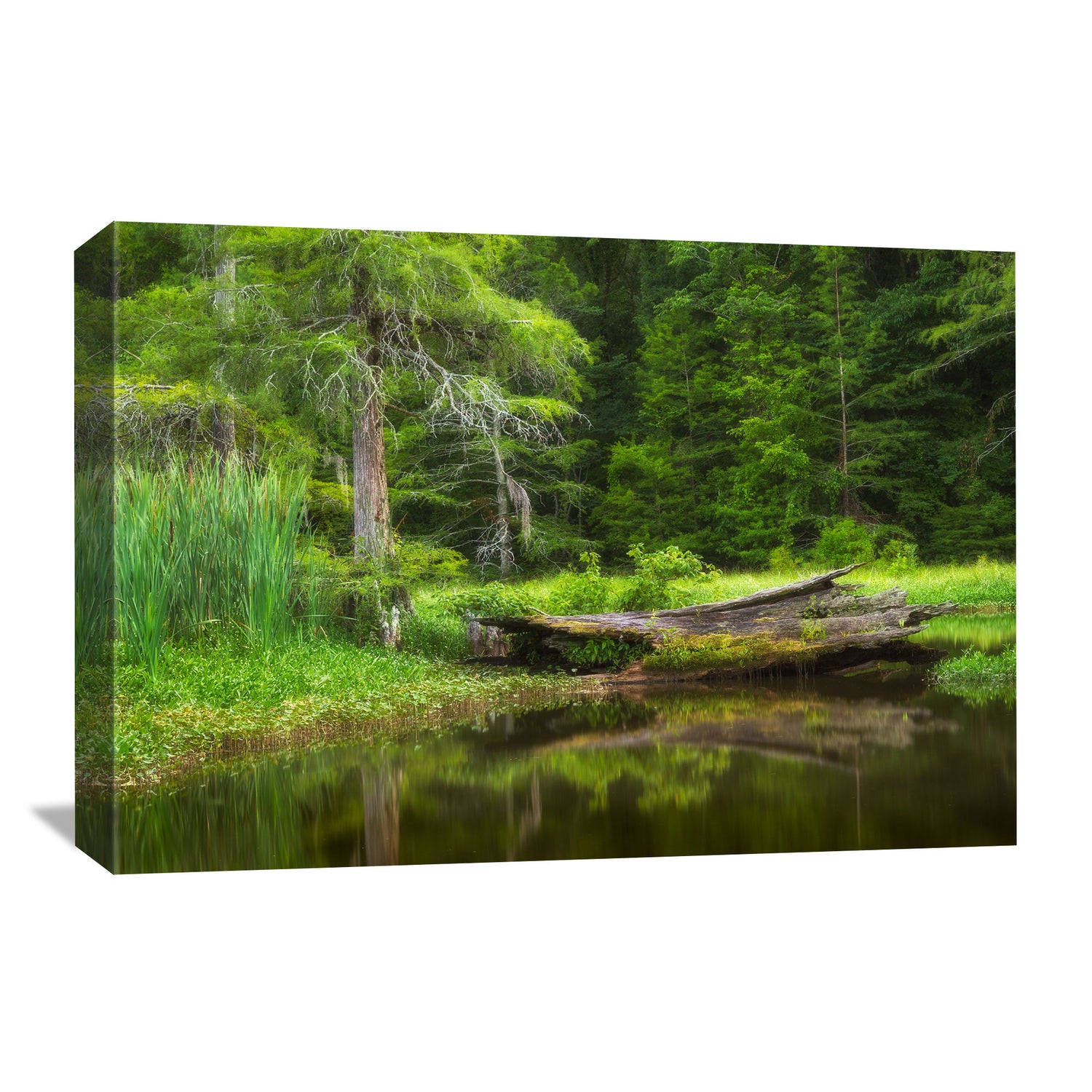 Canvas wall art featuring a Mississippi Delta lake