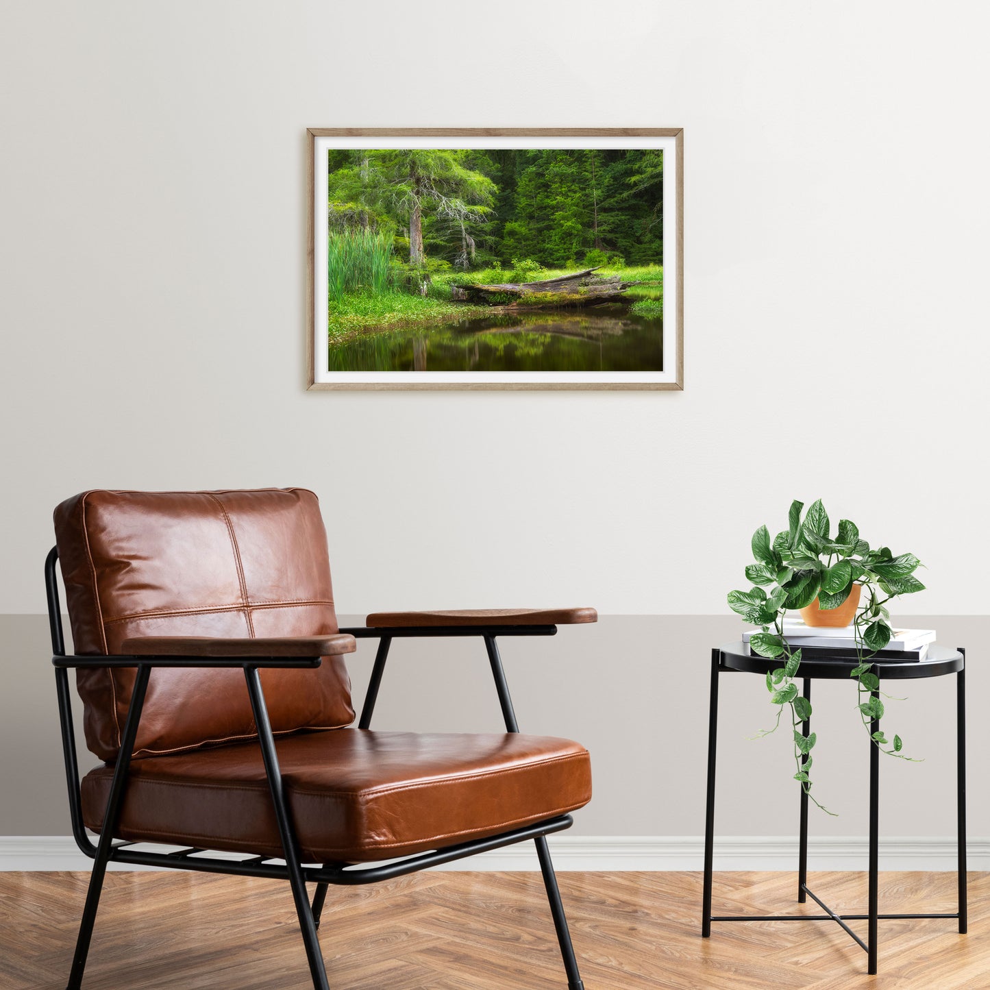photography print of Alligator Lake in Mississippi