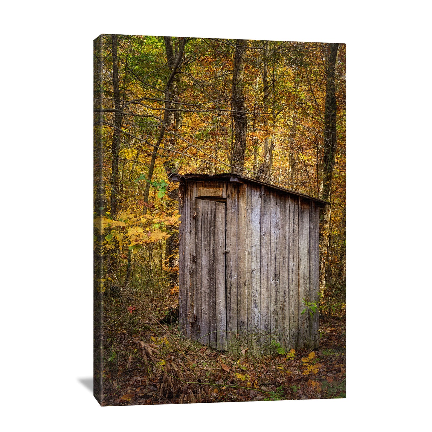 autumn outhouse canvas print for a bathroom