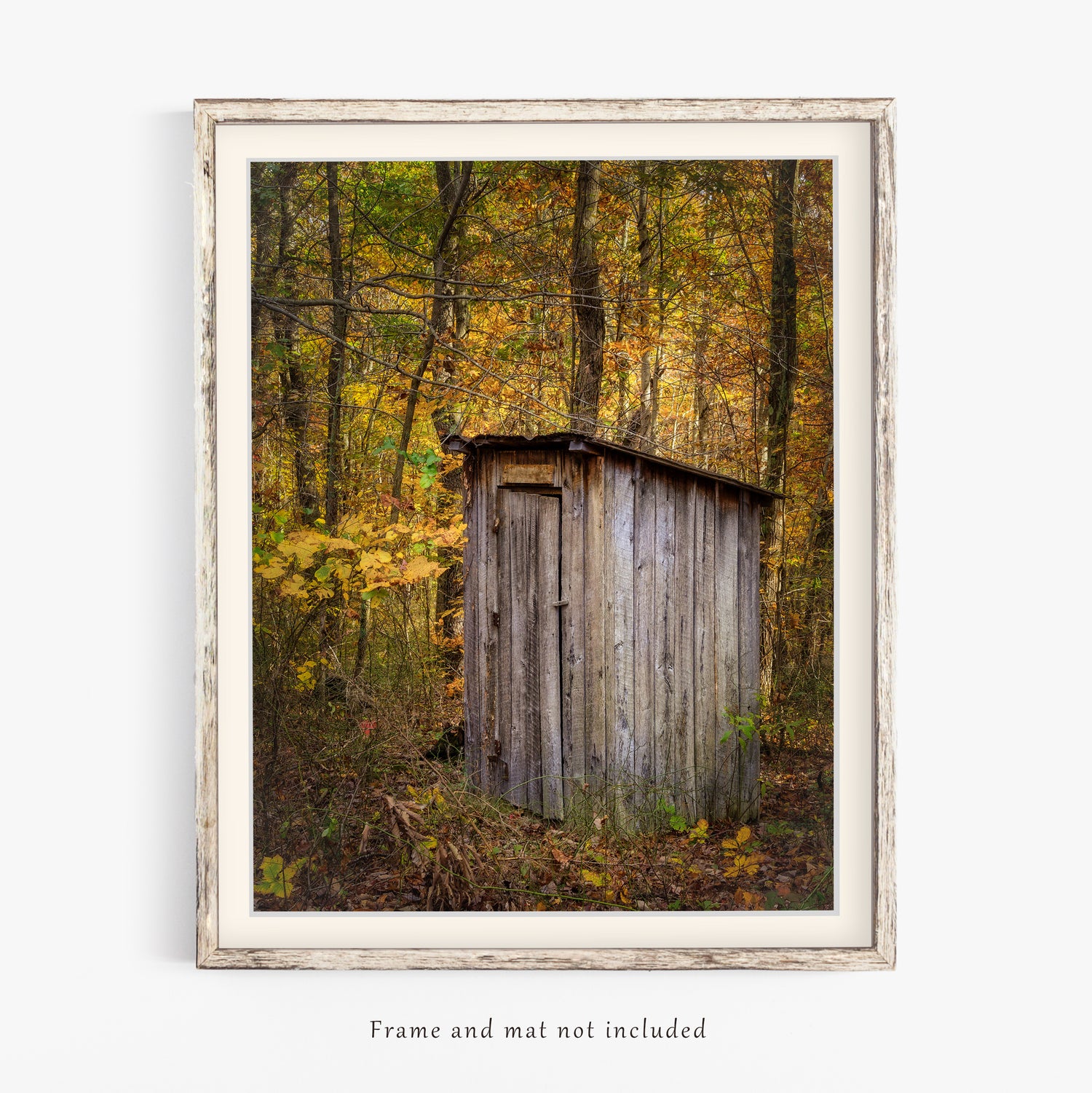 autumn outhouse print in a bathroom