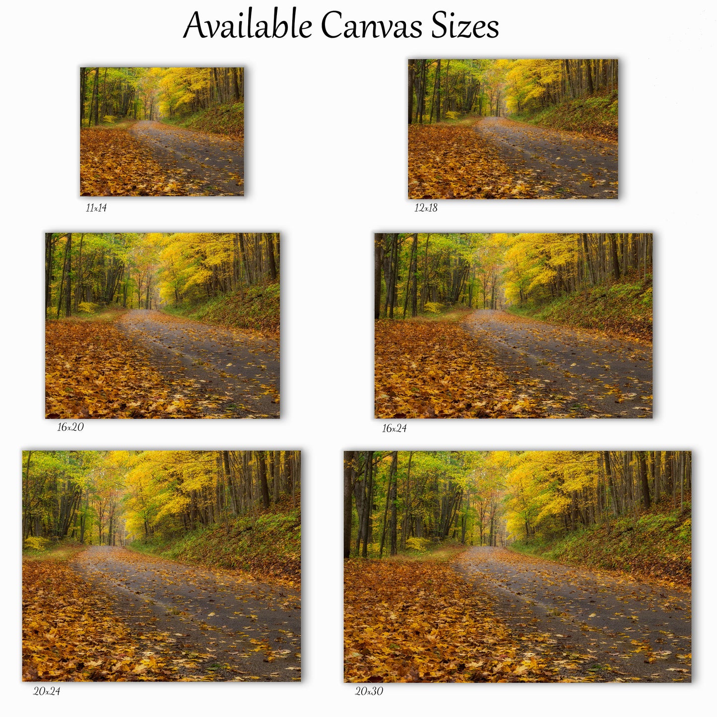 Autumn Road Canvas