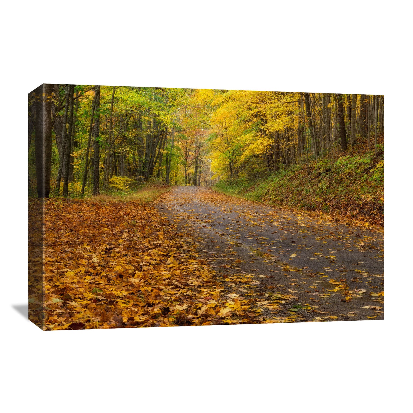 autumn road in the hocking hills forest of ohio on a canvas print