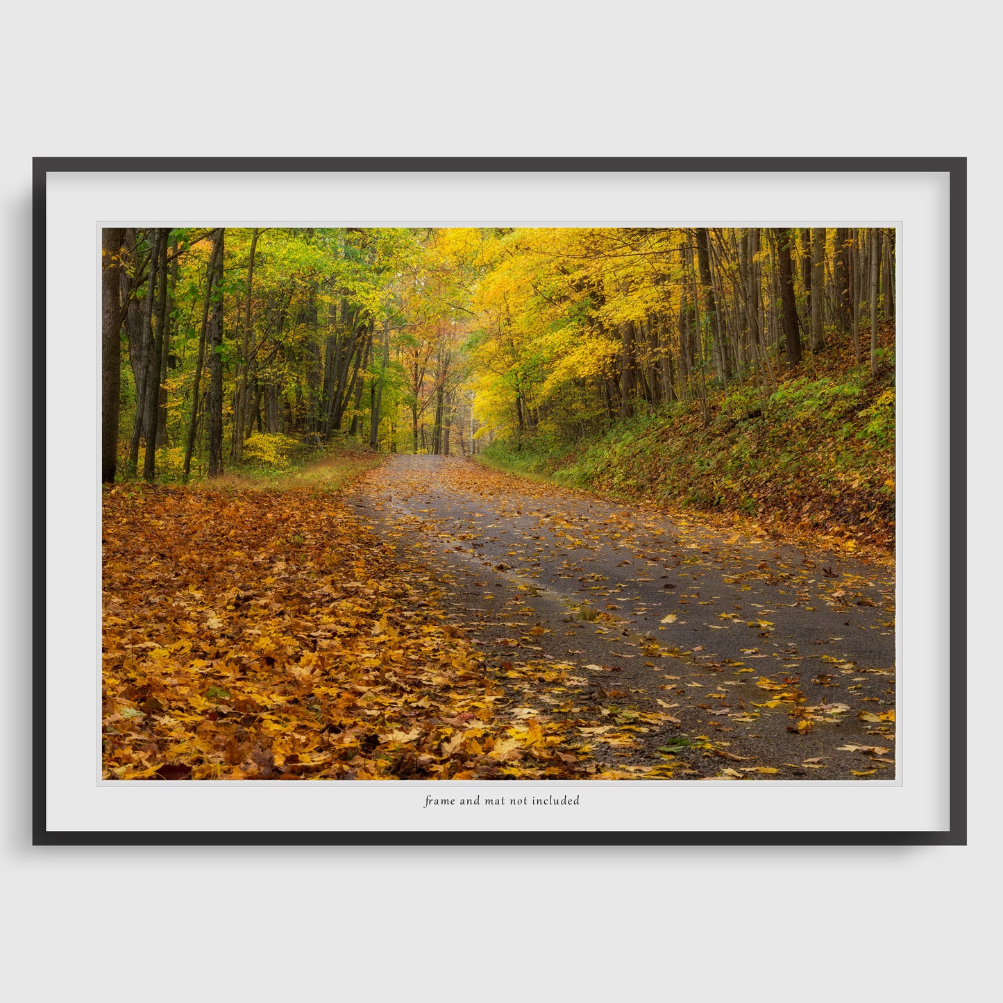 Autumn road image displaying a wall art print within a thin black frame and white mat, meant to inspire potential display options. The actual product is the print only; the frame and mat are not included with purchase.
