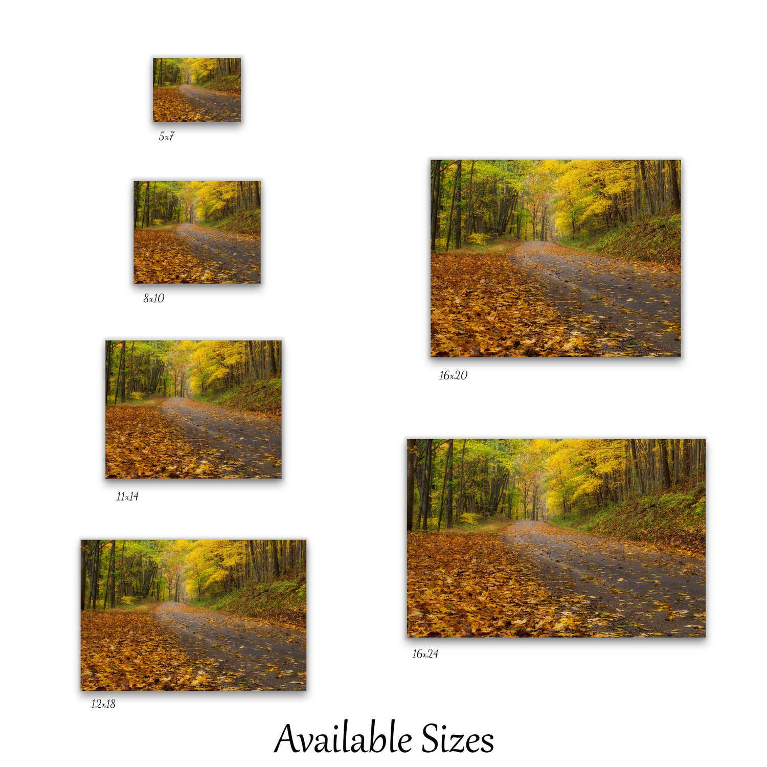 Visual representation of fall photography wall art print sizes available: 5x7, 8x10, 11x14, 12x18, 16x20, and 16x24.