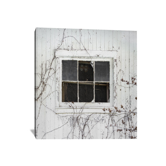 white barn window photography