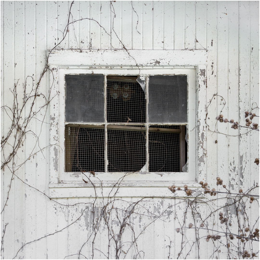 white barn window print