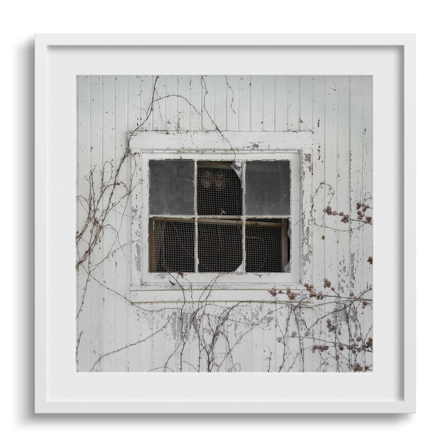 barn window phtoography wall art