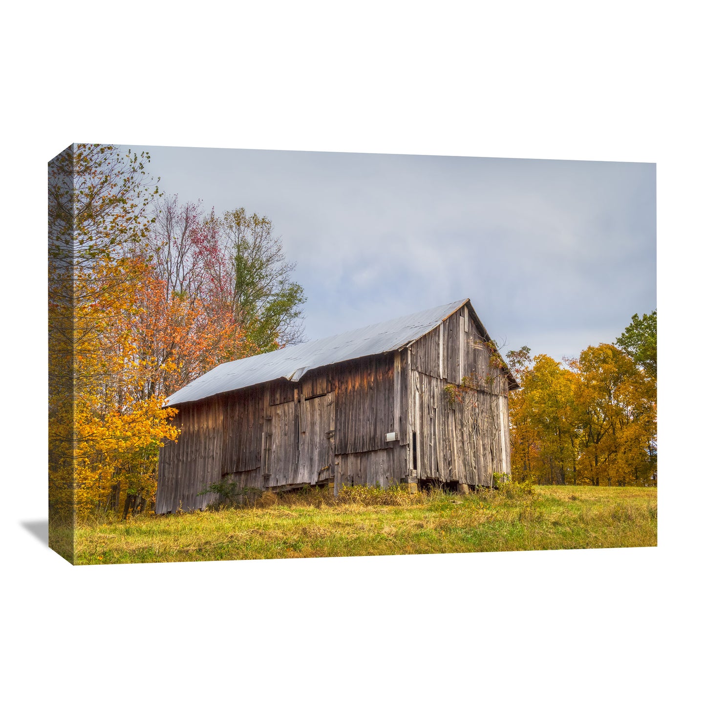 canvas art of an ohio barn in the fall