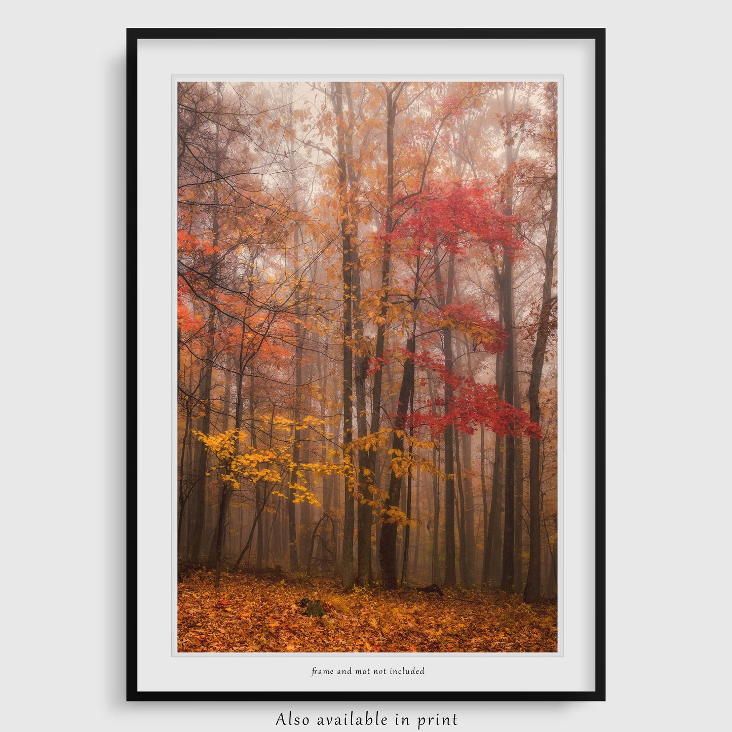 Fall In New River Gorge Canvas