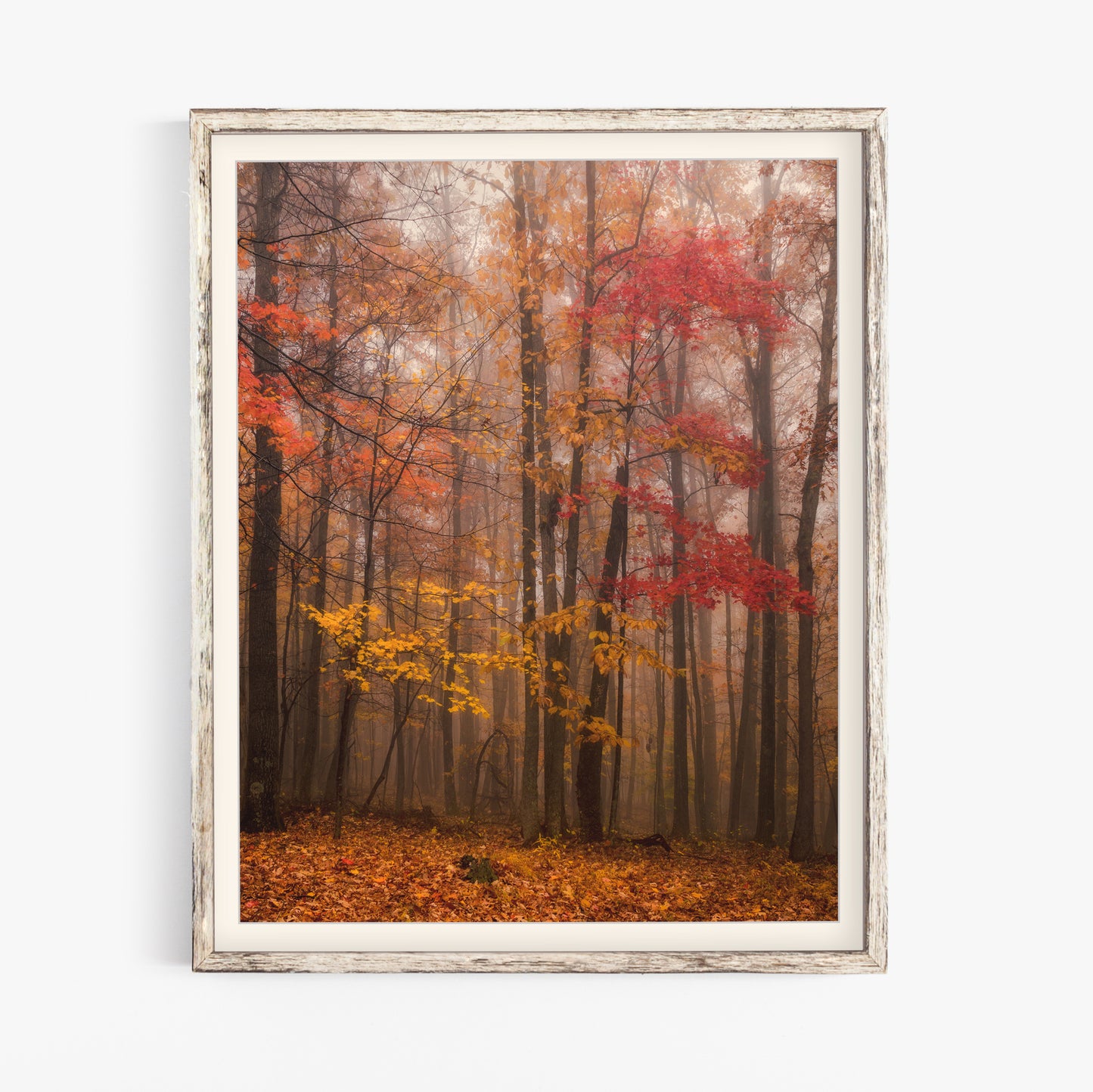 Fall in New River Gorge Print