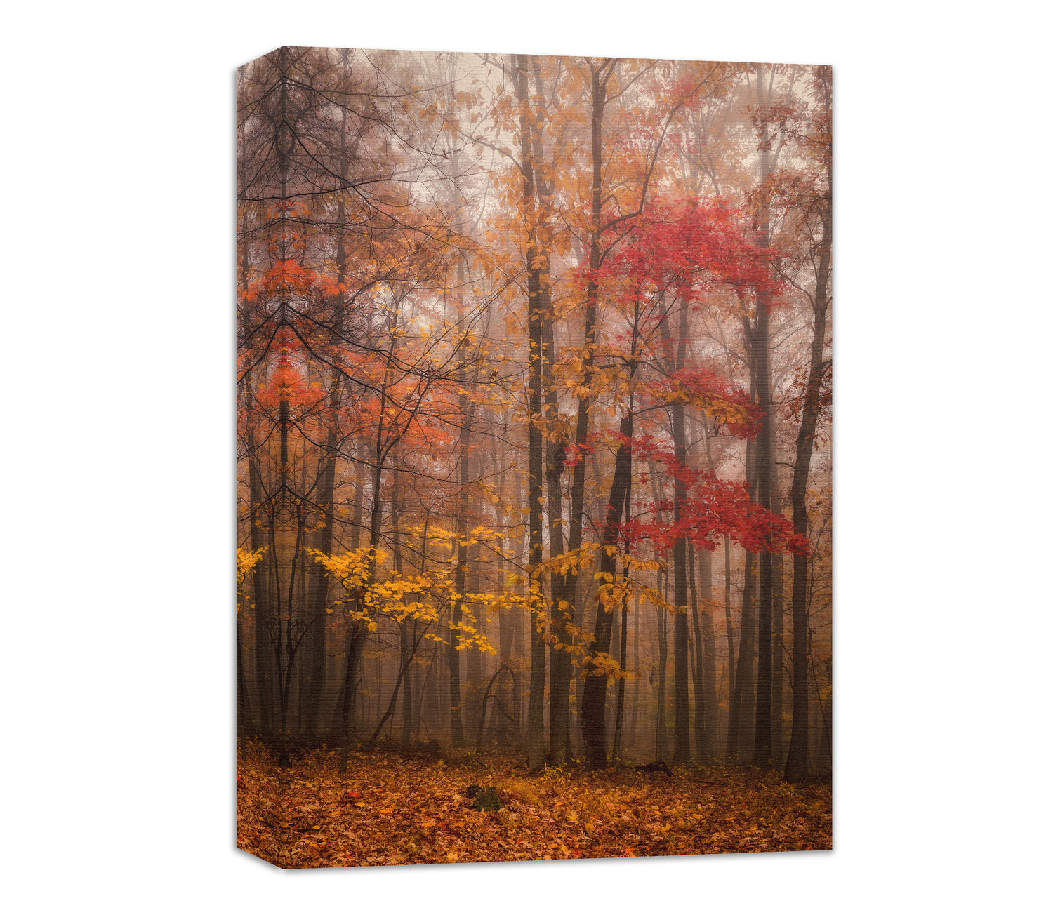 fall in new river gorge canvas wall art