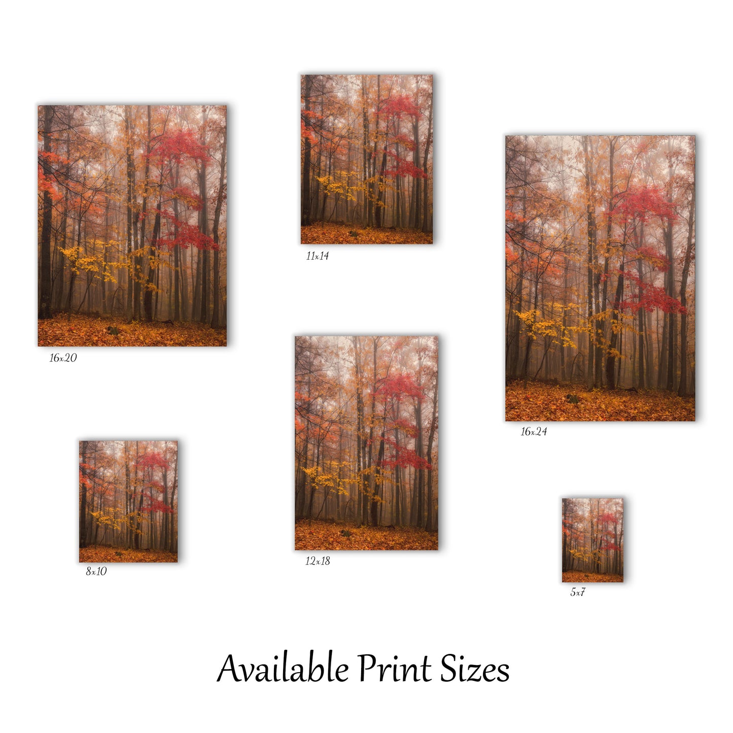 Fall in New River Gorge Print