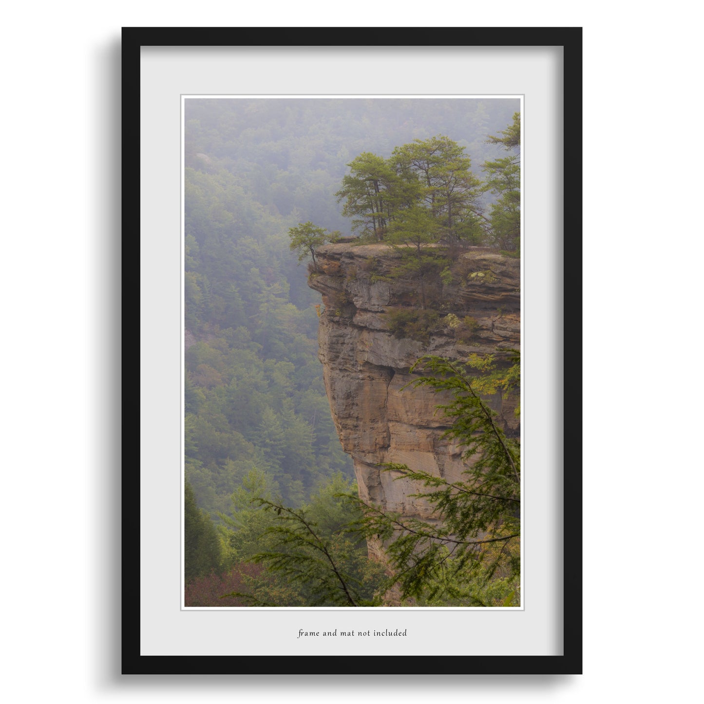 Fog in the Gorge at Red River Gorge Kentucky Wall Art