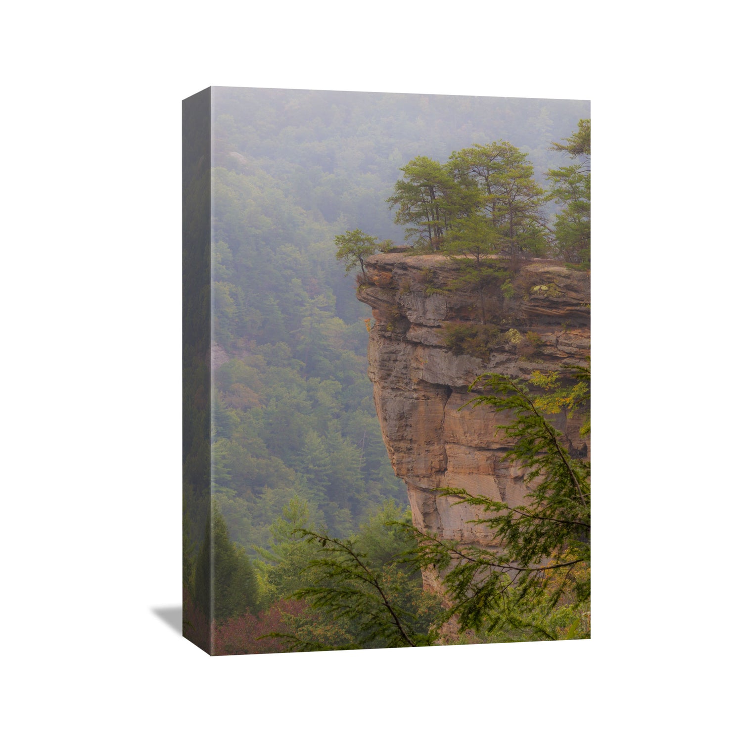 red river gorge photography wall art canvas