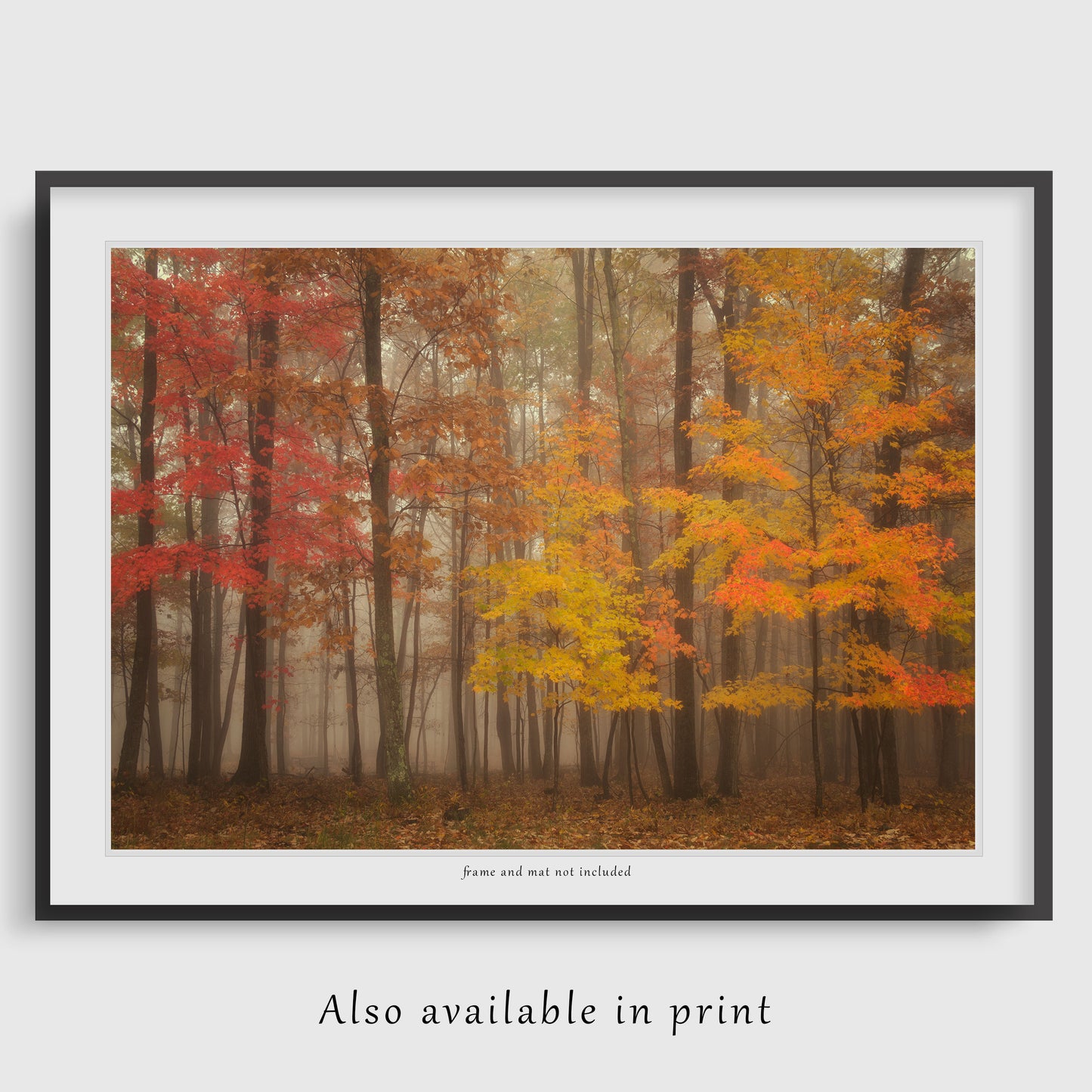 The fall photograph is beautifully presented as a framed print, showing this photograph is also available as a paper print. Please note that the frame and mat shown are for display purposes only and are not included in the purchase.