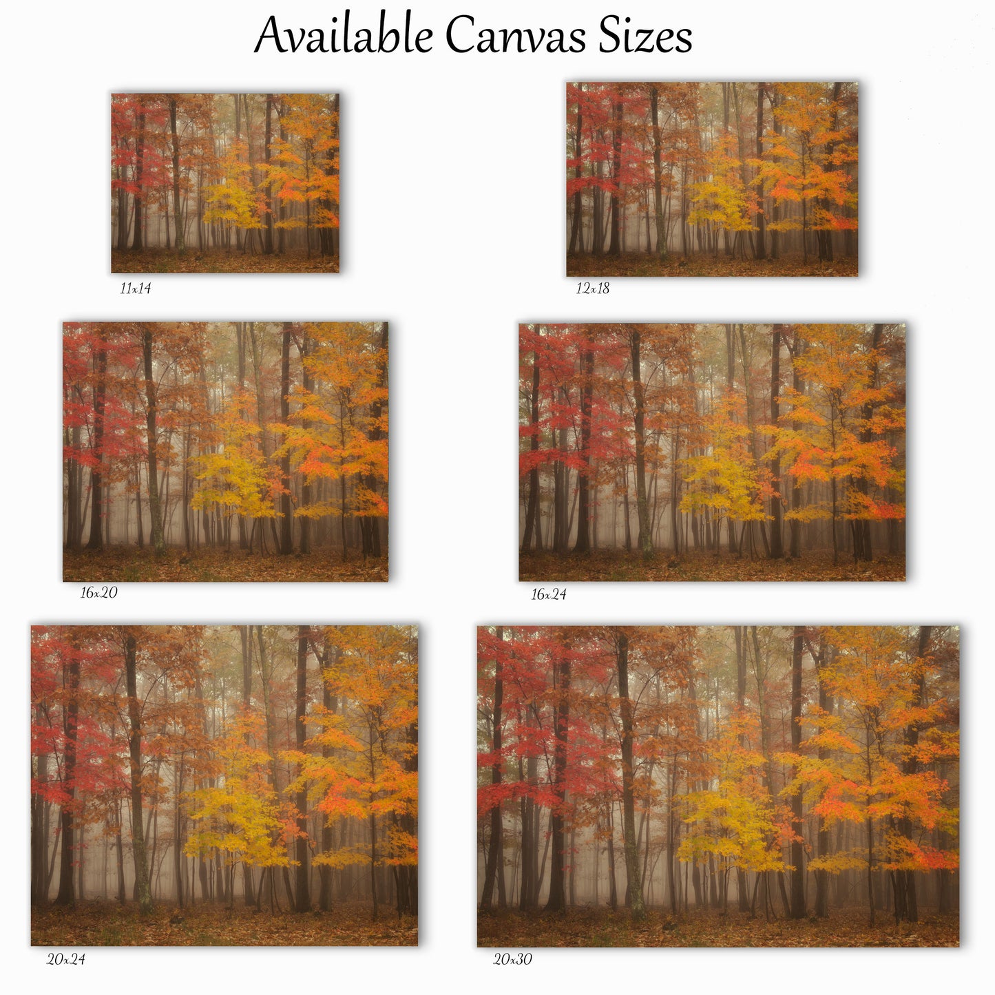 Visual representation of the canvas wall art print sizes available: 11x14, 12x18, 16x20, 16x24, 20x24 and 20x30.