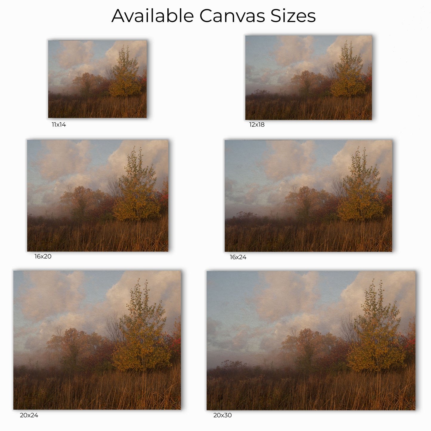 Foggy Fall Prairie Canvas