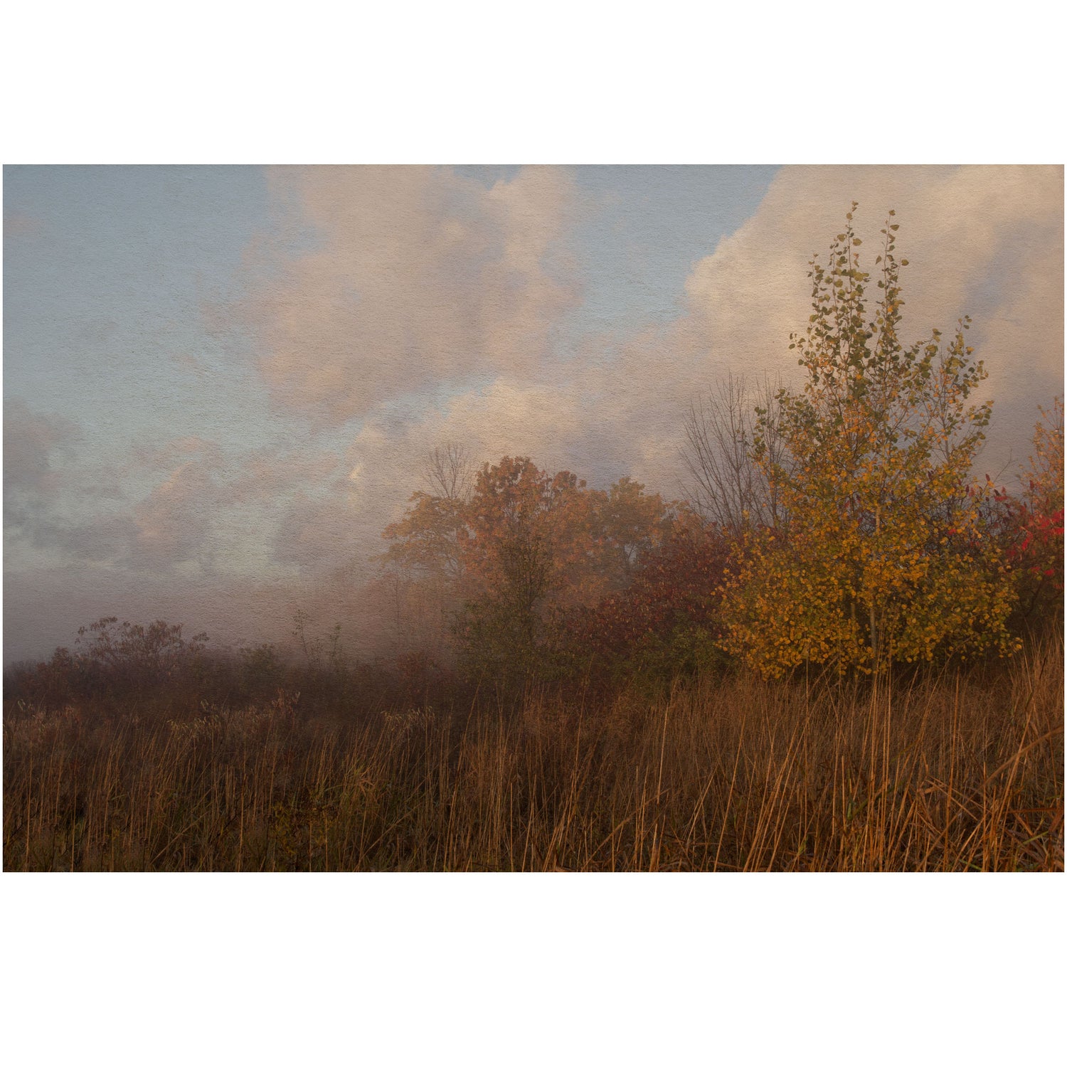 The 'Foggy Fall Prairie' artwork is an autumnal image that effortlessly combines wall art with nature photography, encapsulating the tranquil vibe of a prairie setting.
