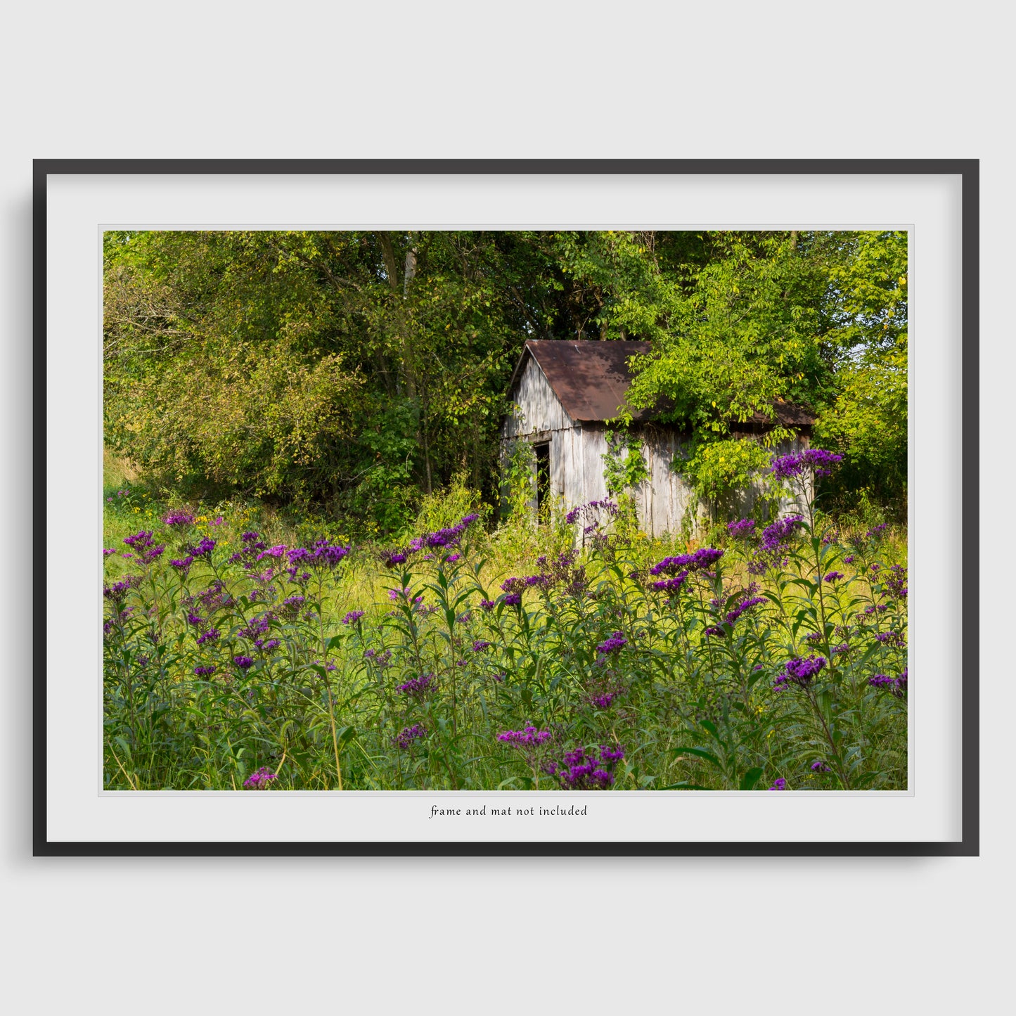 Garden Shed Print