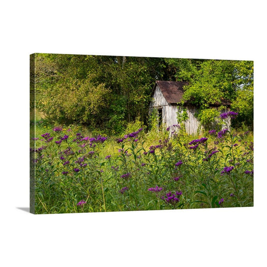 Country rustic wall art featuring a quaint garden shed among the purple wildflowers
