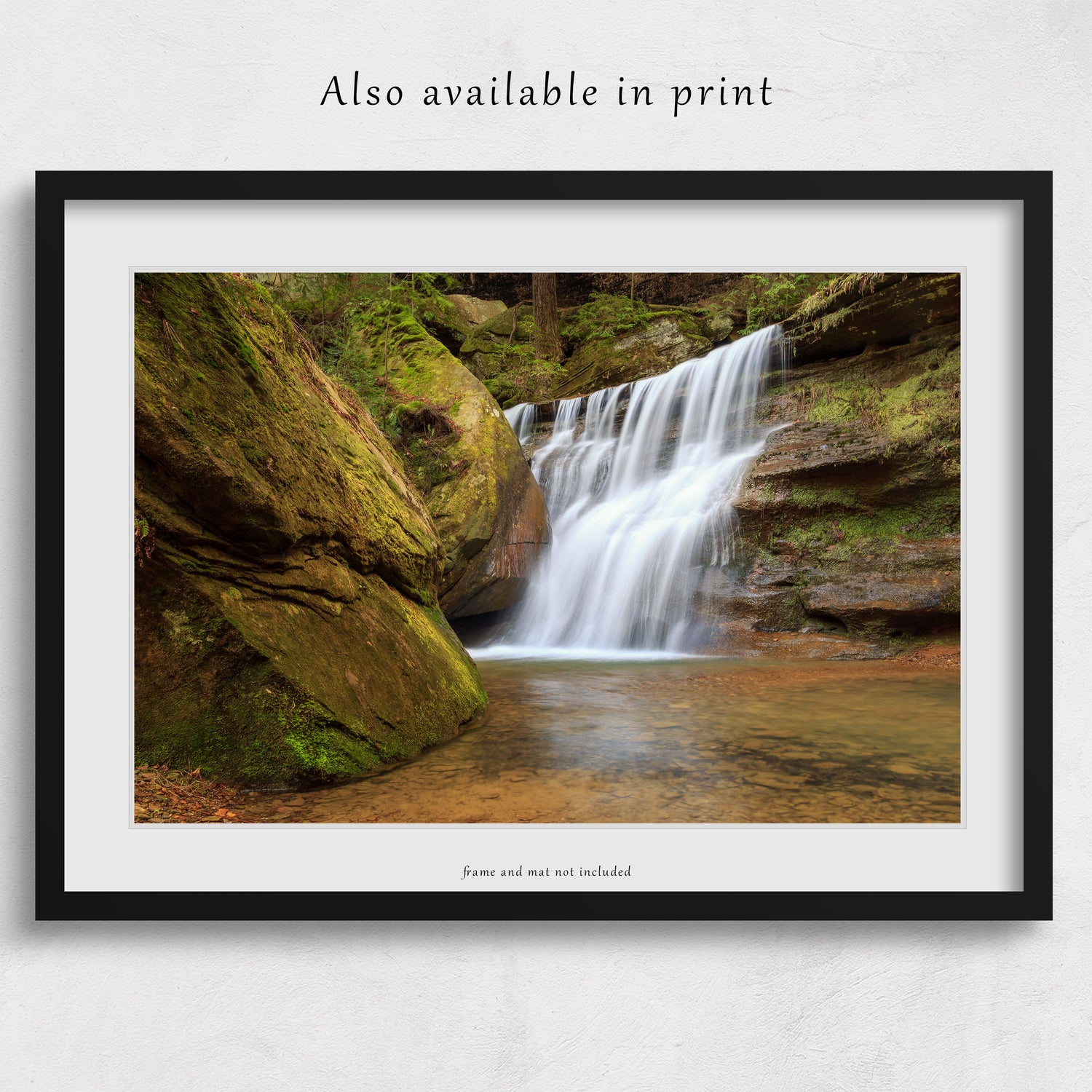 The photograph is beautifully presented as a framed print, showing this photograph is also available as a paper print. Please note that the frame and mat shown are for display purposes only and are not included in the purchase.