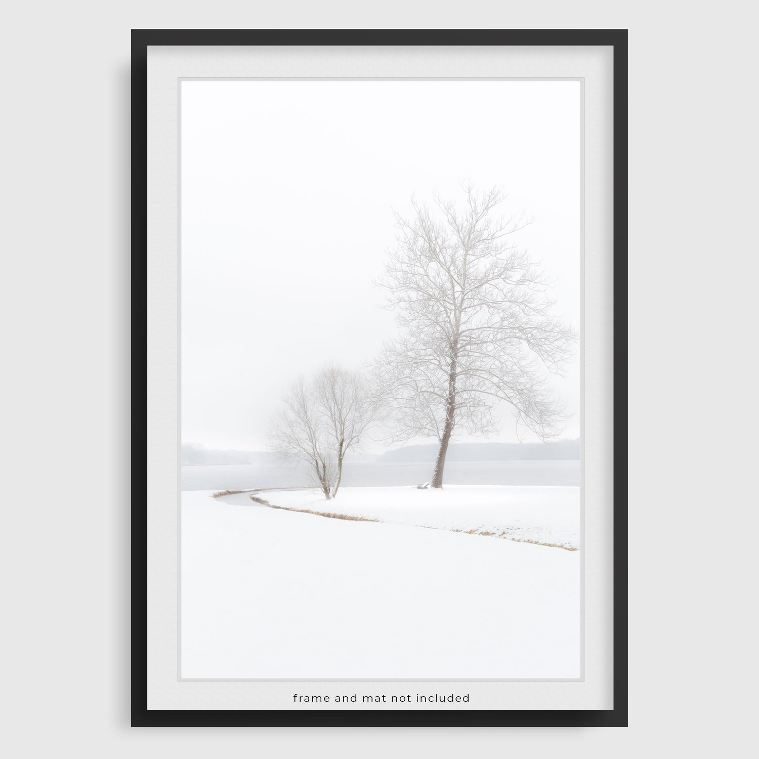winter photography print of trees by the lake in Ohio
