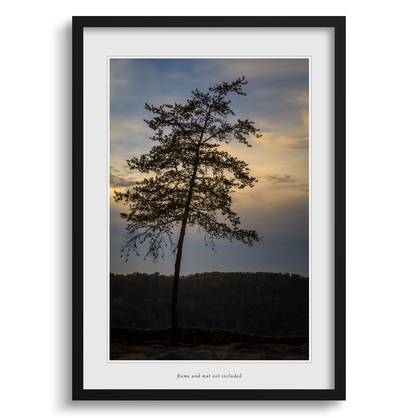 Lone Pine Print