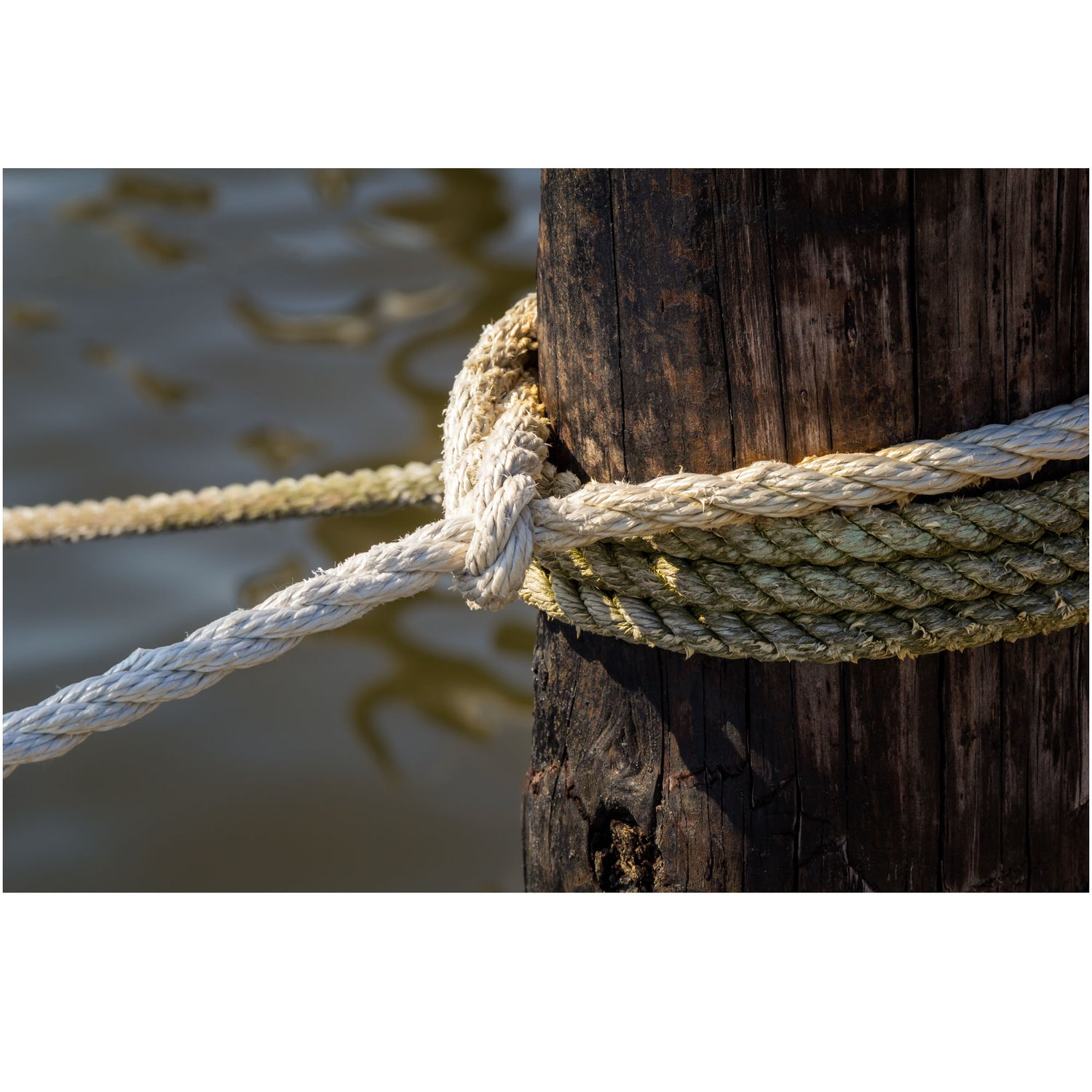 Coastal wall art featuring a mooring post