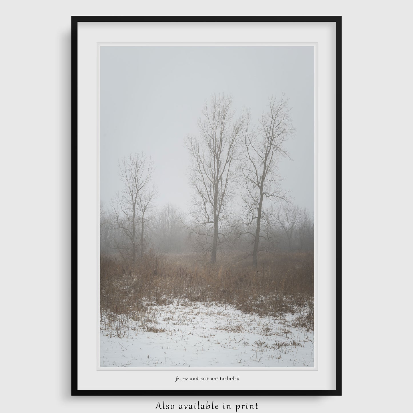The photograph is beautifully presented as a framed print, showing this winter trees photograph is also available as a paper print. Please note that the frame and mat shown are for display purposes only and are not included in the purchase.