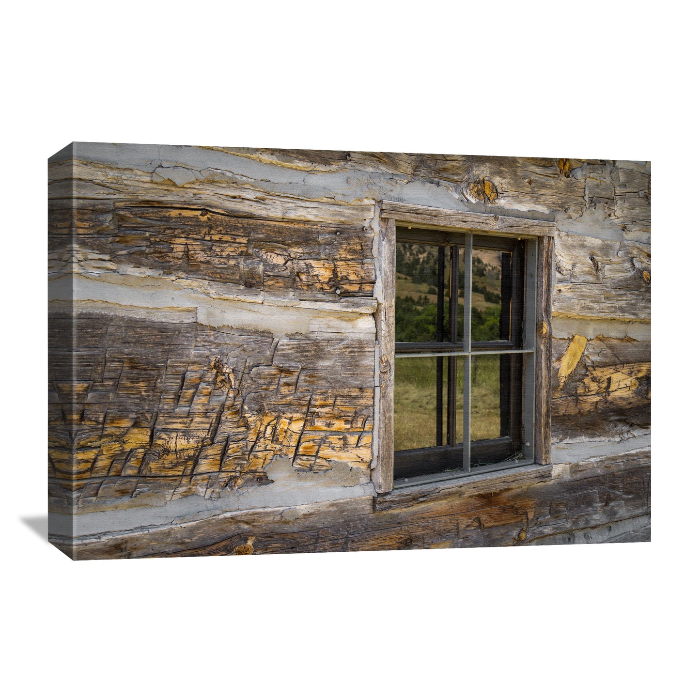 Old Cabin Window Canvas